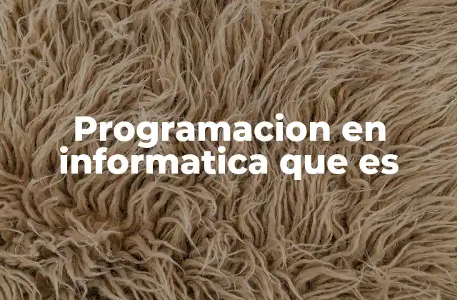 Programacion en Informatica que es