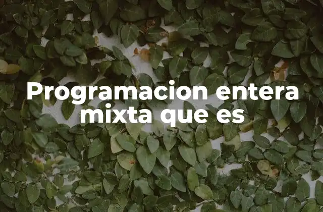 Programacion Entera Mixta que es
