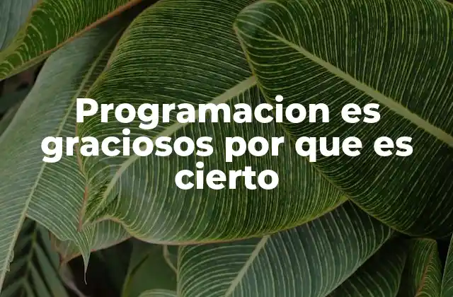Programacion es Graciosos por que es Cierto