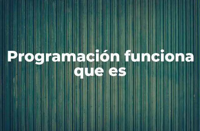 Programación Funciona que es
