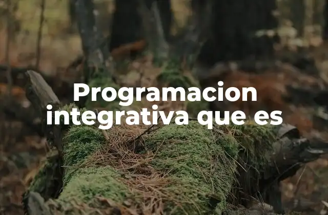 Programacion Integrativa que es 2 Cómo la programación integrativa transforma la industria del software