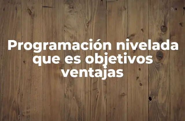 Programación Nivelada que es Objetivos Ventajas
