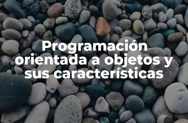 Programación Orientada a Objetos y Sus Características