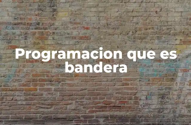 Programacion que es Bandera