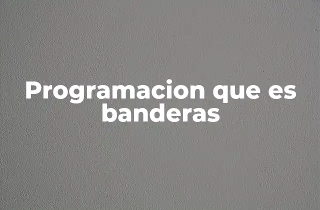 Programacion que es Banderas