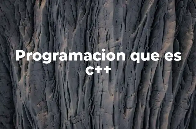 Programacion que es C++