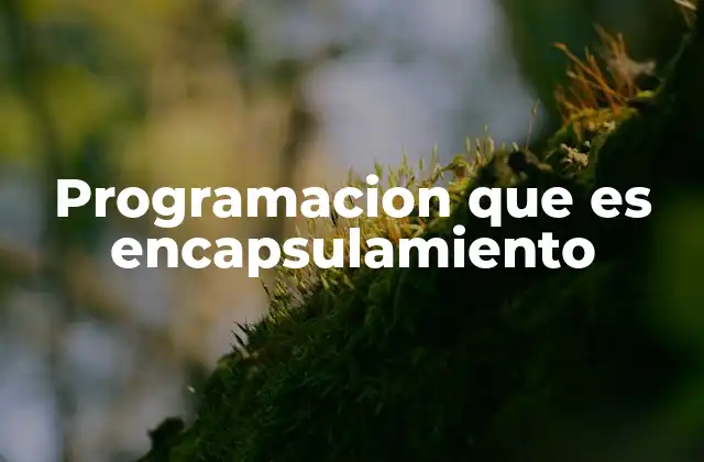 Programacion que es Encapsulamiento