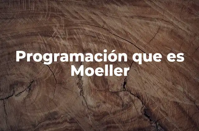 Programación que es Moeller