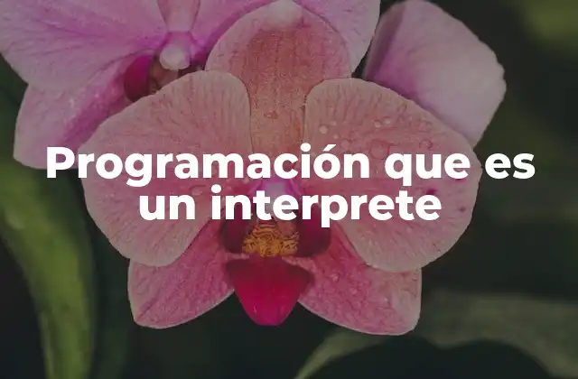 Programación que es un Interprete