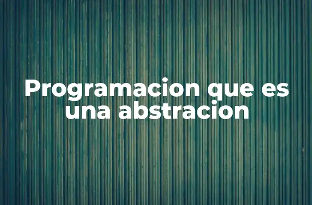 Programacion que es una Abstracion