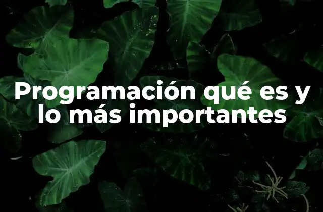 Programación Qué es y Lo Más Importantes