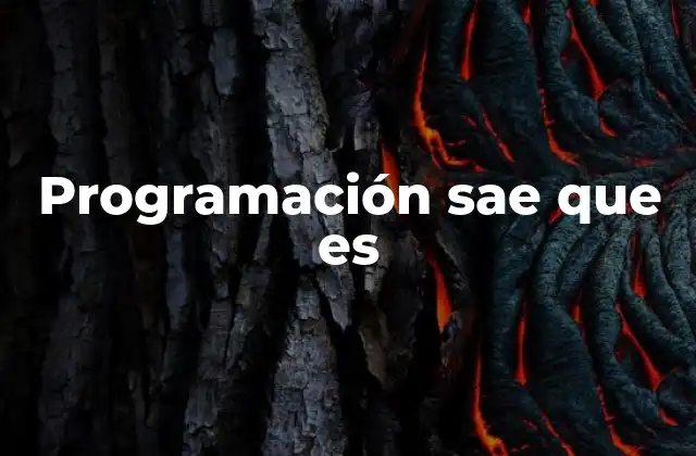 Programación Sae que es