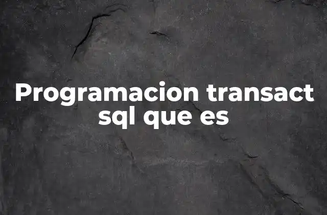 Programacion Transact Sql que es