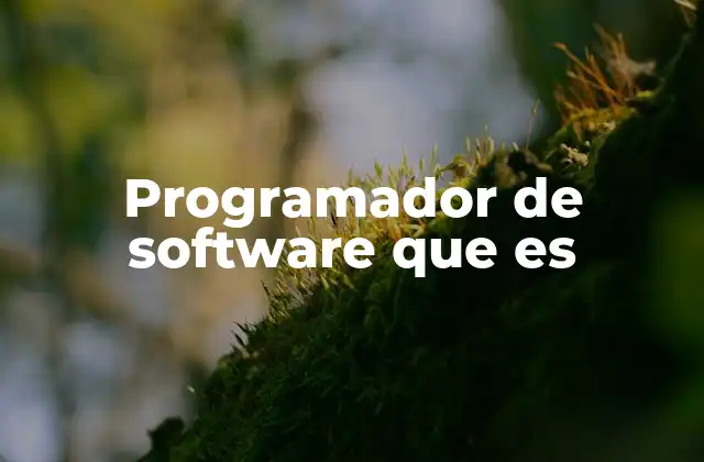 Programador de Software que es 2 El rol del programador en la era digital