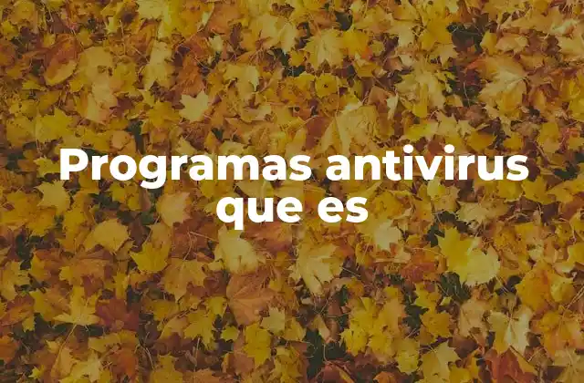Programas Antivirus que es