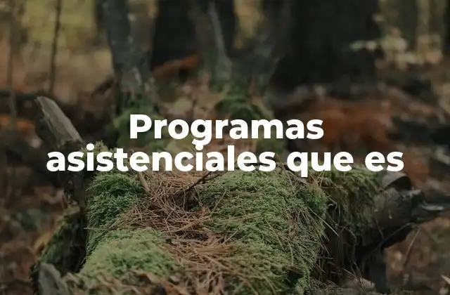 Programas Asistenciales que es