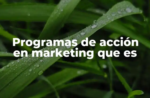 Programas de Acción en Marketing que es