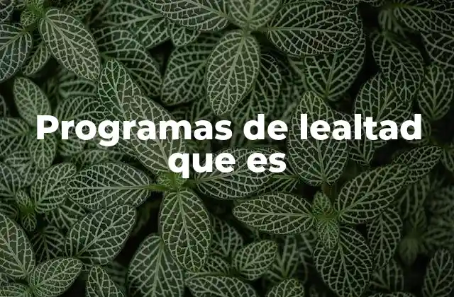 Programas de Lealtad que es 2 Cómo funcionan los programas de fidelidad