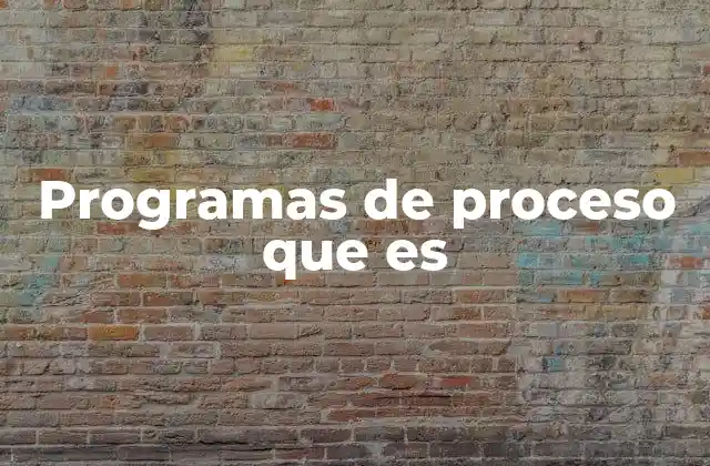 Programas de Proceso que es