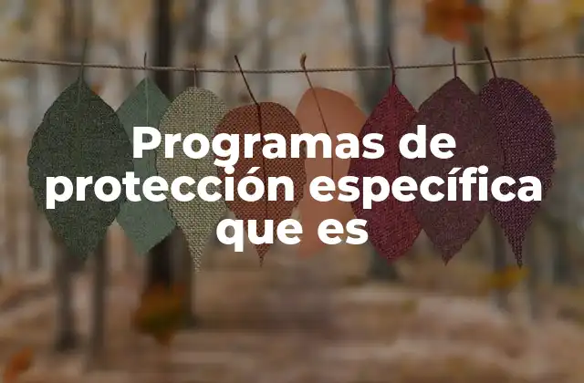 Programas de Protección Específica que es