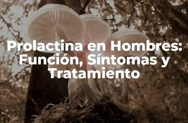La Función de la Prolactina en los Hombres