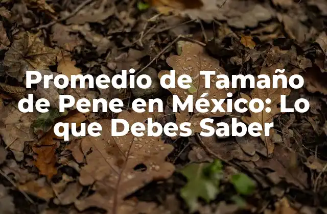 Promedio de Tamaño de Pene en México: Lo que Debes Saber