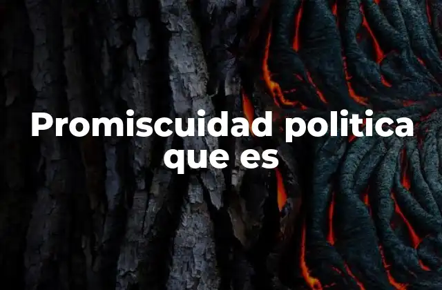 Promiscuidad Politica que es