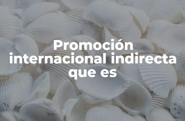 Promoción Internacional Indirecta que es