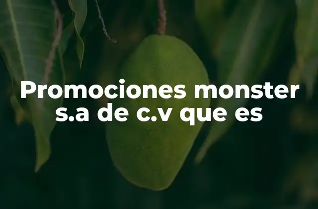 Promociones Monster S.a de C.v que es