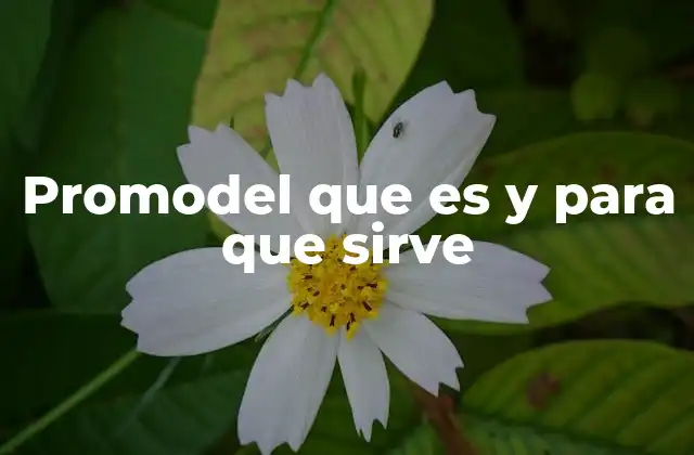 Promodel que es y para que Sirve