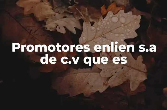 El rol de las empresas promotoras en el desarrollo urbano