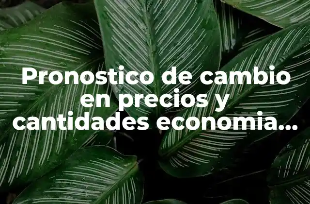 Pronostico de Cambio en Precios y Cantidades Economia que es