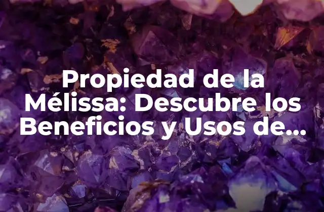 Propiedad de la Mélissa: Descubre los Beneficios y Usos de Esta Hierba Milagrosa