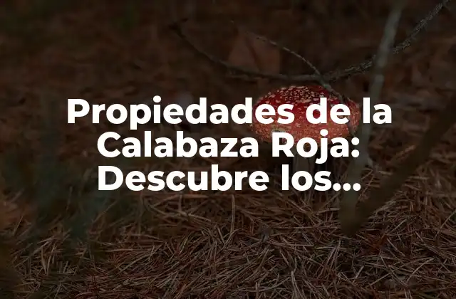 Propiedades de la Calabaza Roja: Descubre los Beneficios de Esta Verdura