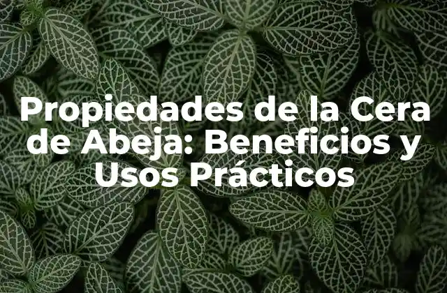Propiedades de la Cera de Abeja: Beneficios y Usos Prácticos