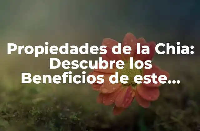 Propiedades de la Chia: Descubre los Beneficios de Este Alimento Milagroso