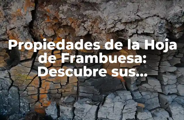 Propiedades de la Hoja de Frambuesa: Descubre Sus Beneficios y Usos