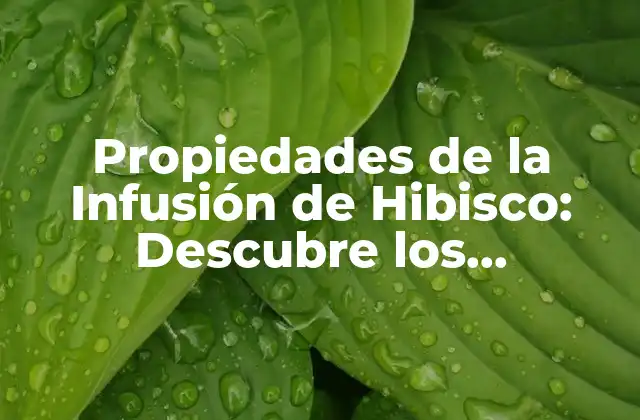 Propiedades de la Infusión de Hibisco: Descubre los Beneficios para Tu Salud