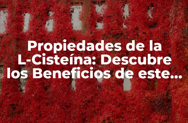 Propiedades de la L-cisteína: Descubre los Beneficios de Este Aminoácido Esencial