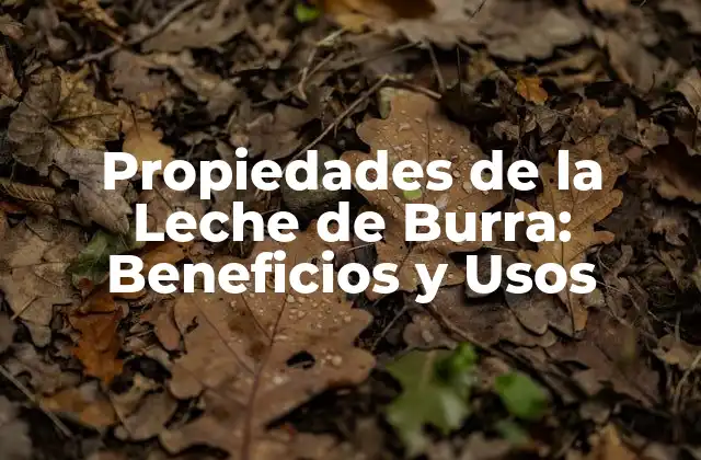 Propiedades de la Leche de Burra: Beneficios y Usos
