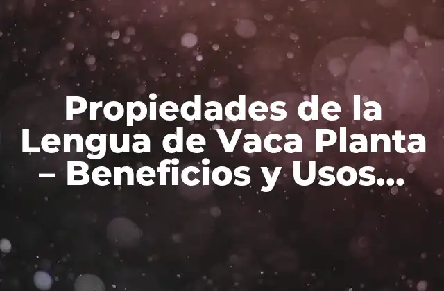 Propiedades de la Lengua de Vaca Planta – Beneficios y Usos Medicinales