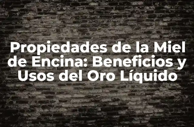 Propiedades de la Miel de Encina: Beneficios y Usos Del Oro Líquido