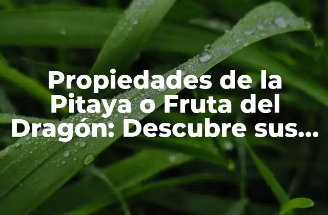 Propiedades de la Pitaya o Fruta Del Dragón: Descubre Sus Beneficios