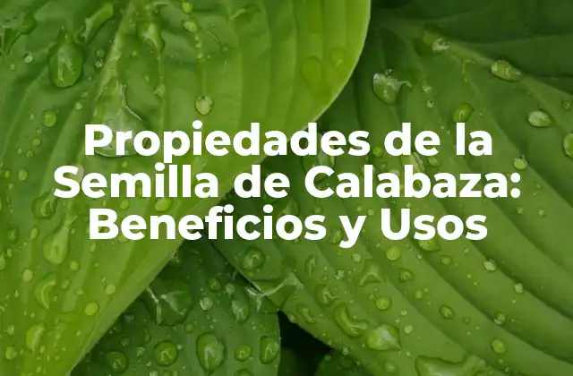 Propiedades de la Semilla de Calabaza: Beneficios y Usos