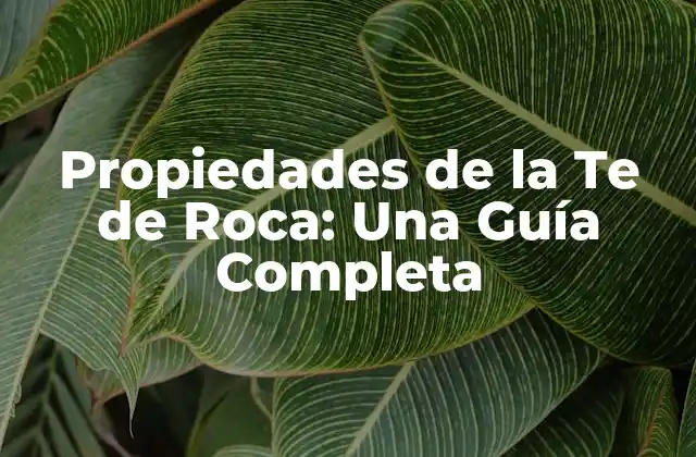 Propiedades de la Te de Roca: una Guía Completa