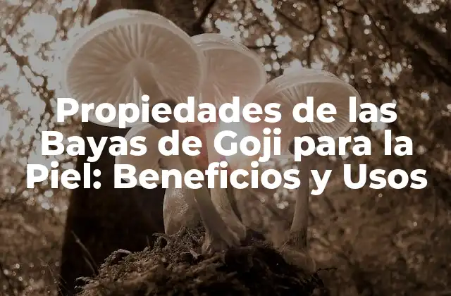 Propiedades de las Bayas de Goji para la Piel: Beneficios y Usos