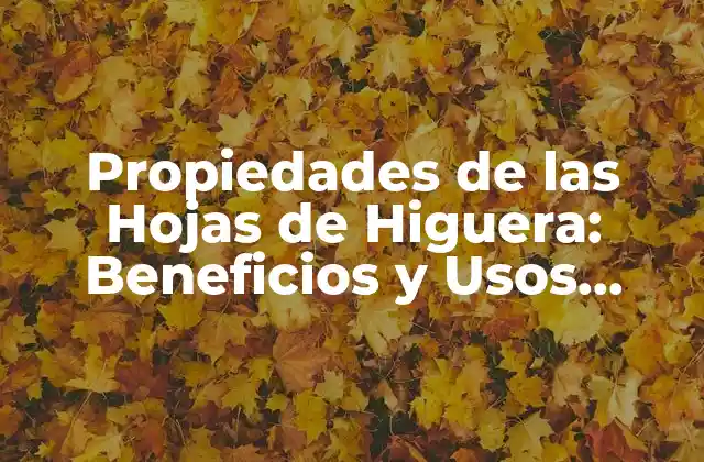 Propiedades de las Hojas de Higuera: Beneficios y Usos Medicinales