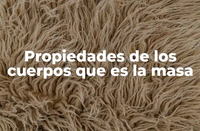 Propiedades de los Cuerpos que es la Masa