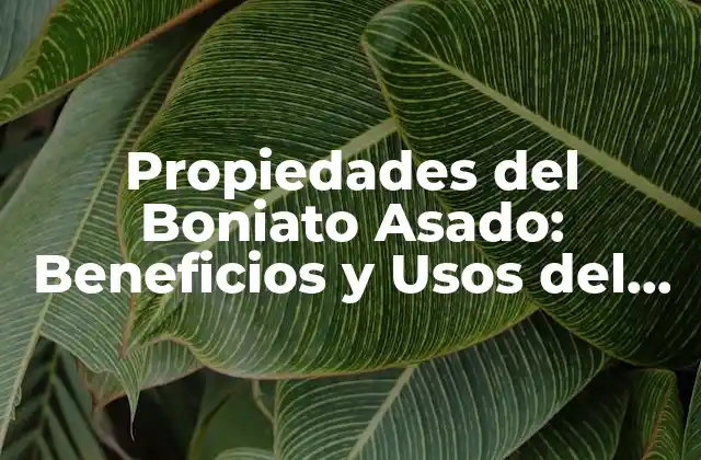 Propiedades Del Boniato Asado: Beneficios y Usos Del Delicioso Tuber