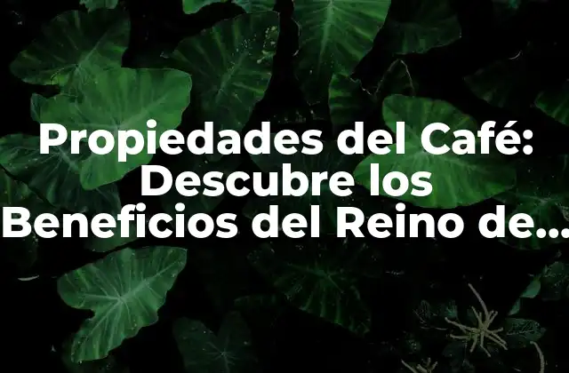 Propiedades Del Café: Descubre los Beneficios Del Reino de los Sentidos